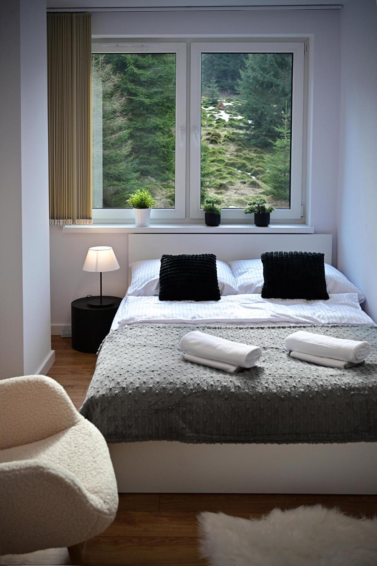 Rentplanet - Zeromskiego *